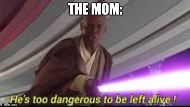 he is too dangerous to be left alive | THE MOM: | image tagged in he is too dangerous to be left alive | made w/ Imgflip meme maker