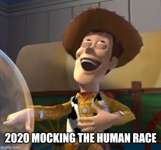Woody Laugh | 2020 MOCKING THE HUMAN RACE | image tagged in woody laugh | made w/ Imgflip meme maker