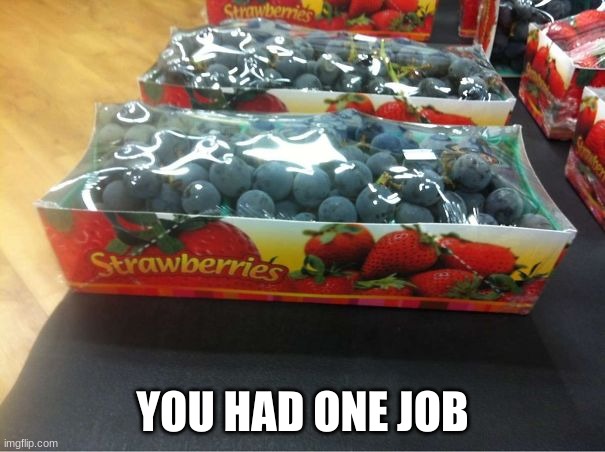 you had one job | YOU HAD ONE JOB | image tagged in blueberry | made w/ Imgflip meme maker