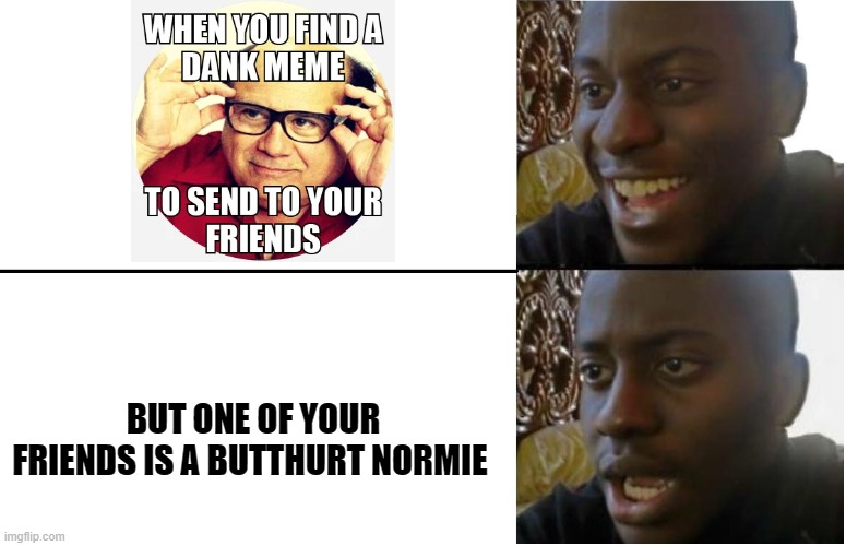 Take a joke as a joke | BUT ONE OF YOUR FRIENDS IS A BUTTHURT NORMIE | image tagged in normie | made w/ Imgflip meme maker