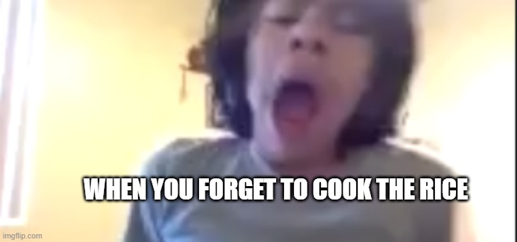 Screaming Boy | WHEN YOU FORGET TO COOK THE RICE | image tagged in screaming boy | made w/ Imgflip meme maker