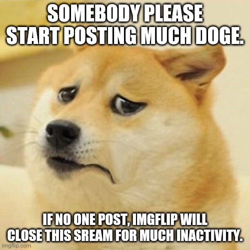 please post | SOMEBODY PLEASE START POSTING MUCH DOGE. IF NO ONE POST, IMGFLIP WILL CLOSE THIS SREAM FOR MUCH INACTIVITY. | image tagged in unhappy worried doge | made w/ Imgflip meme maker