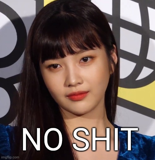 No shit | NO SHIT | image tagged in kpop,red velvet,red velvet joy,park sooyoung,memevelvet,red velvet meme | made w/ Imgflip meme maker