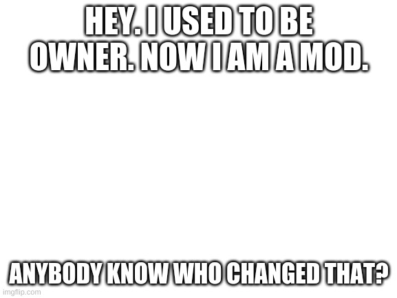 umm | HEY. I USED TO BE OWNER. NOW I AM A MOD. ANYBODY KNOW WHO CHANGED THAT? | image tagged in blank white template | made w/ Imgflip meme maker