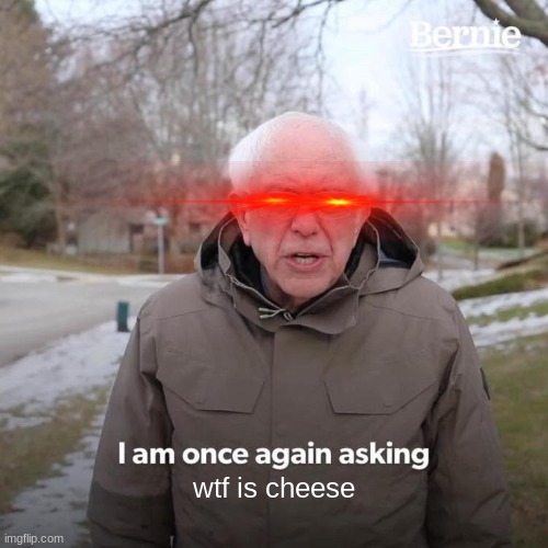 wat cheese doh | wtf is cheese | image tagged in memes,bernie i am once again asking for your support | made w/ Imgflip meme maker