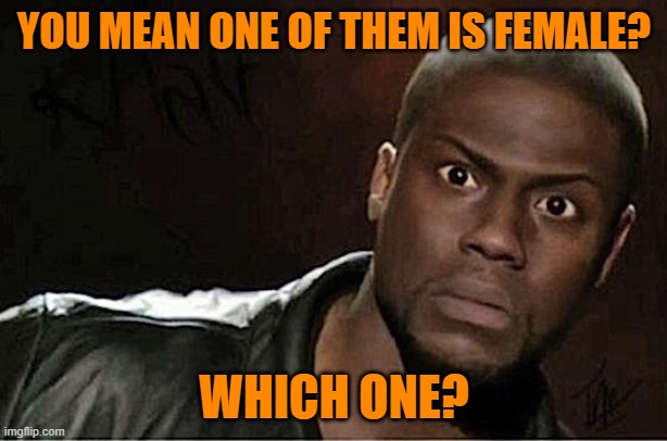 Kevin Hart Meme | YOU MEAN ONE OF THEM IS FEMALE? WHICH ONE? | image tagged in memes,kevin hart | made w/ Imgflip meme maker