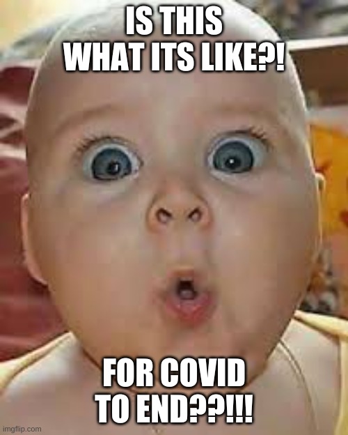 IS THIS WHAT ITS LIKE? | IS THIS WHAT ITS LIKE?! FOR COVID TO END??!!! | image tagged in baby,covid-19,covid19,covid | made w/ Imgflip meme maker