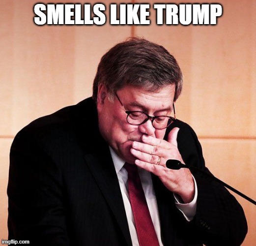 Smells Like Trump | SMELLS LIKE TRUMP | image tagged in donald trump,trump,williambarr | made w/ Imgflip meme maker