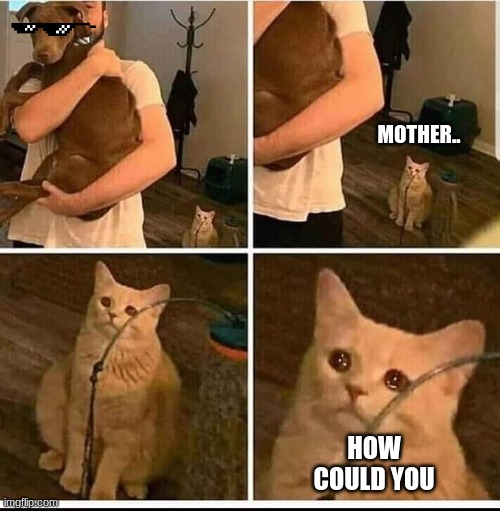 why | MOTHER.. HOW COULD YOU | image tagged in man holding dog but cat is sad | made w/ Imgflip meme maker