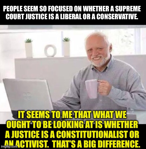 Constitutionalist or activist? | PEOPLE SEEM SO FOCUSED ON WHETHER A SUPREME COURT JUSTICE IS A LIBERAL OR A CONSERVATIVE. IT SEEMS TO ME THAT WHAT WE OUGHT TO BE LOOKING AT IS WHETHER A JUSTICE IS A CONSTITUTIONALIST OR AN ACTIVIST.  THAT’S A BIG DIFFERENCE. | image tagged in harold | made w/ Imgflip meme maker