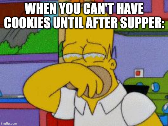 Homer Simpson Crying | WHEN YOU CAN'T HAVE COOKIES UNTIL AFTER SUPPER: | image tagged in homer simpson crying | made w/ Imgflip meme maker