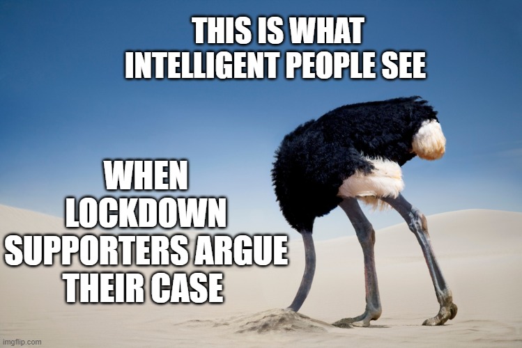 Lockdown Reality | WHEN LOCKDOWN SUPPORTERS ARGUE THEIR CASE; THIS IS WHAT INTELLIGENT PEOPLE SEE | image tagged in covid-19,covid19,lockdown,quarantine | made w/ Imgflip meme maker