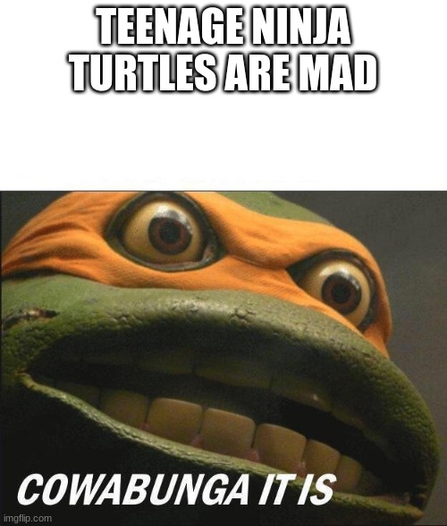 Cowabunga It Is | TEENAGE NINJA TURTLES ARE MAD | image tagged in cowabunga it is | made w/ Imgflip meme maker