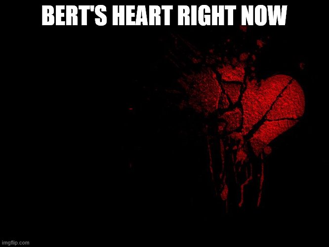 broken heart | BERT'S HEART RIGHT NOW | image tagged in broken heart | made w/ Imgflip meme maker