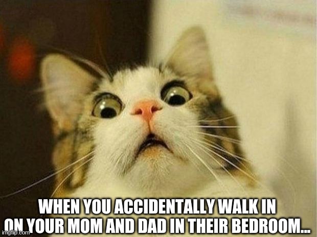 When You See Something You Shouldn't Have....... | WHEN YOU ACCIDENTALLY WALK IN ON YOUR MOM AND DAD IN THEIR BEDROOM... | image tagged in memes,scared cat | made w/ Imgflip meme maker