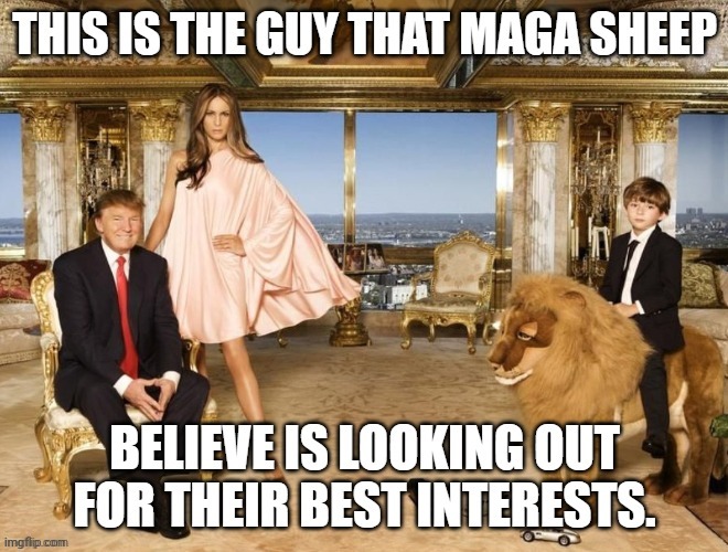 image tagged in trump supporters | made w/ Imgflip meme maker