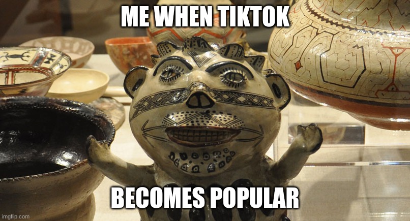 tiktok bad | ME WHEN TIKTOK; BECOMES POPULAR | image tagged in but why tho | made w/ Imgflip meme maker