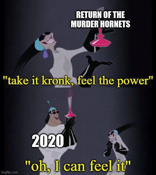 2020 stop | RETURN OF THE MURDER HORNETS; 2020 | image tagged in take it kronk feel the power | made w/ Imgflip meme maker