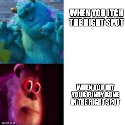 Relatable? |  WHEN YOU ITCH THE RIGHT SPOT; WHEN YOU HIT YOUR FUNNY BONE IN THE RIGHT SPOT | image tagged in monsters inc,relatable | made w/ Imgflip meme maker