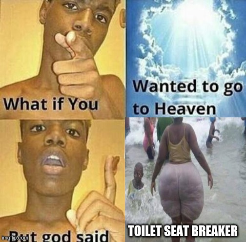 What if you wanted to go to Heaven | TOILET SEAT BREAKER | image tagged in what if you wanted to go to heaven | made w/ Imgflip meme maker