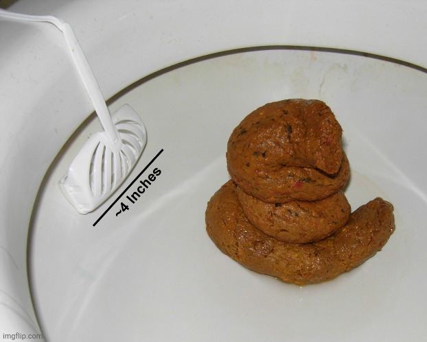 Human Poop | image tagged in human poop | made w/ Imgflip meme maker