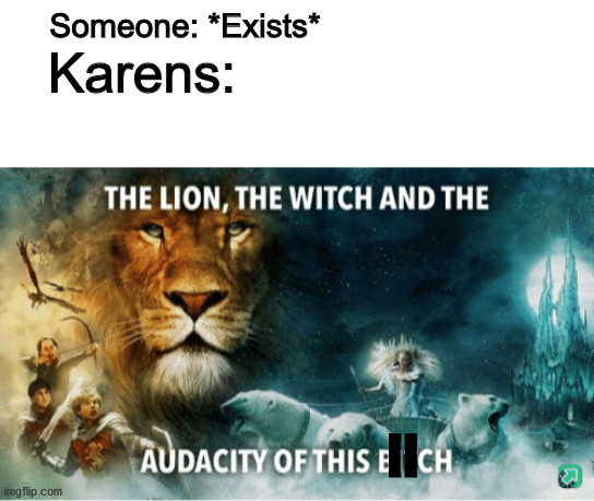 Karen | Someone: *Exists*; Karens:; II | image tagged in the lion the witch and the audacity of this bitch,karens,karen | made w/ Imgflip meme maker