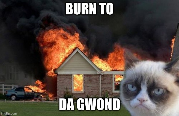 Burn Kitty | BURN TO; DA GWOND | image tagged in memes,burn kitty,grumpy cat | made w/ Imgflip meme maker