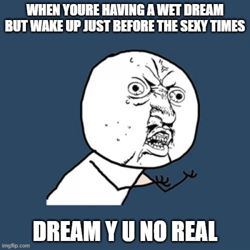 Y U No | WHEN YOURE HAVING A WET DREAM BUT WAKE UP JUST BEFORE THE SEXY TIMES; DREAM Y U NO REAL | image tagged in memes,y u no,wet dream,sexy times | made w/ Imgflip meme maker
