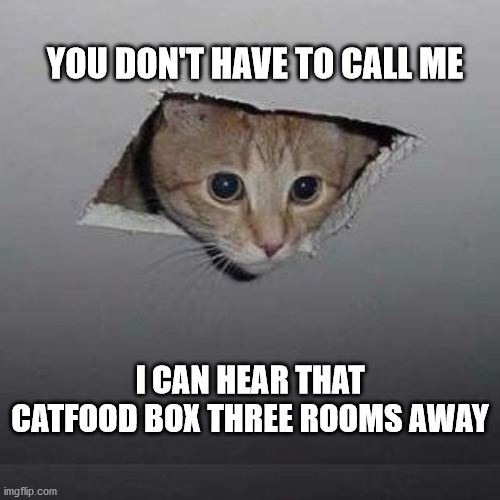 Ceiling Cat | YOU DON'T HAVE TO CALL ME; I CAN HEAR THAT CATFOOD BOX THREE ROOMS AWAY | image tagged in memes,ceiling cat | made w/ Imgflip meme maker