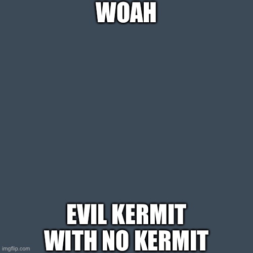 wOaH | WOAH; EVIL KERMIT WITH NO KERMIT | image tagged in woah | made w/ Imgflip meme maker