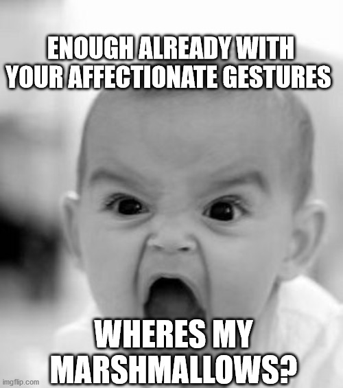 Angry Baby Meme | ENOUGH ALREADY WITH YOUR AFFECTIONATE GESTURES; WHERES MY MARSHMALLOWS? | image tagged in memes,angry baby | made w/ Imgflip meme maker