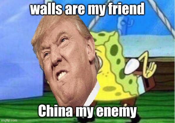 Mocking Spongebob | walls are my friend; China my enemy | image tagged in memes,mocking spongebob | made w/ Imgflip meme maker