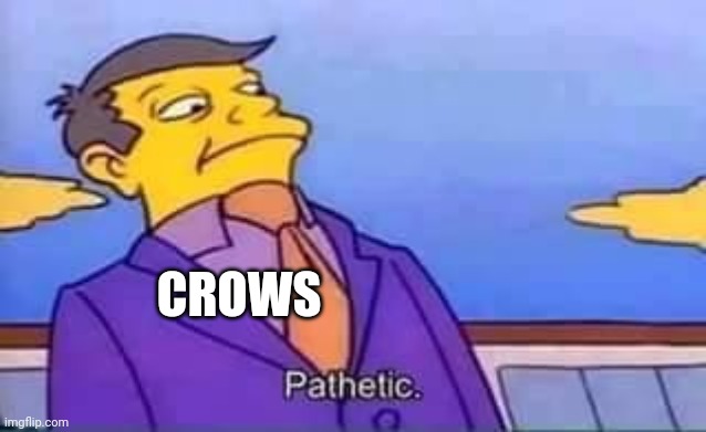 CROWS | image tagged in skinner pathetic | made w/ Imgflip meme maker
