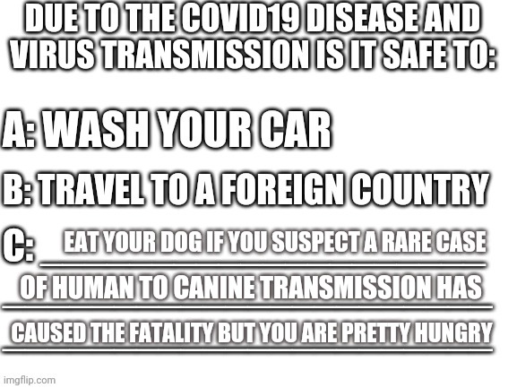 I think this could be funnier/less mean. Just example humour. | EAT YOUR DOG IF YOU SUSPECT A RARE CASE; OF HUMAN TO CANINE TRANSMISSION HAS; CAUSED THE FATALITY BUT YOU ARE PRETTY HUNGRY | image tagged in coronavirus sarcastic question | made w/ Imgflip meme maker