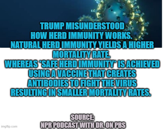 The Truth about Herd Immunity - from a Dr. | TRUMP MISUNDERSTOOD HOW HERD IMMUNITY WORKS. 
NATURAL HERD IMMUNITY YIELDS A HIGHER MORTALITY RATE. 
WHEREAS *SAFE HERD IMMUNITY* IS ACHIEVED USING A VACCINE THAT CREATES ANTIBODIES TO FIGHT THE VIRUS RESULTING IN SMALLER MORTALITY RATES. SOURCE: 
NPR PODCAST WITH DR. ON PBS | image tagged in covid19,coronavirus,covid,trump,vaccine | made w/ Imgflip meme maker