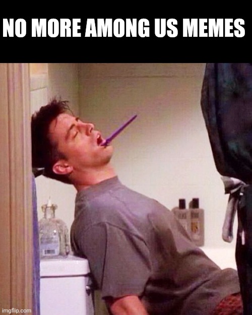 Stop, no more | NO MORE AMONG US MEMES | image tagged in joey asleep on toilet | made w/ Imgflip meme maker