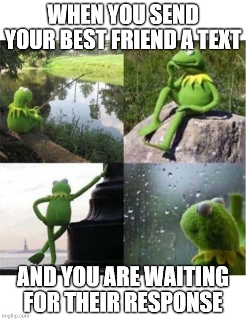 Kermit waiting for text | WHEN YOU SEND YOUR BEST FRIEND A TEXT; AND YOU ARE WAITING FOR THEIR RESPONSE | image tagged in blank kermit waiting | made w/ Imgflip meme maker