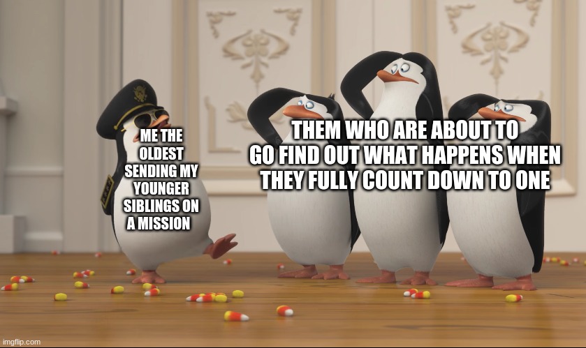 i would like to know this | ME THE OLDEST SENDING MY YOUNGER SIBLINGS ON A MISSION; THEM WHO ARE ABOUT TO GO FIND OUT WHAT HAPPENS WHEN THEY FULLY COUNT DOWN TO ONE | image tagged in saluting skipper | made w/ Imgflip meme maker