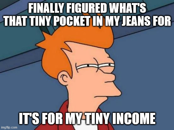 Futurama Fry | FINALLY FIGURED WHAT'S THAT TINY POCKET IN MY JEANS FOR; IT'S FOR MY TINY INCOME | image tagged in memes,futurama fry | made w/ Imgflip meme maker