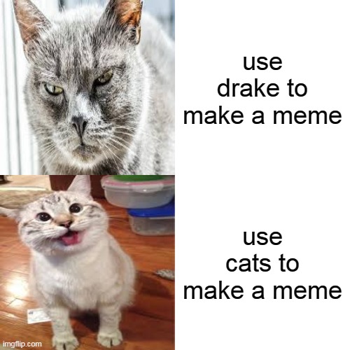 Drake Hotline Bling | use drake to make a meme; use cats to make a meme | image tagged in memes,drake hotline bling | made w/ Imgflip meme maker