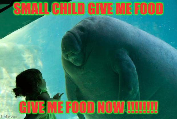 me want food | SMALL CHILD GIVE ME FOOD; GIVE ME FOOD NOW !!!!!!!! | image tagged in overlord manatee | made w/ Imgflip meme maker