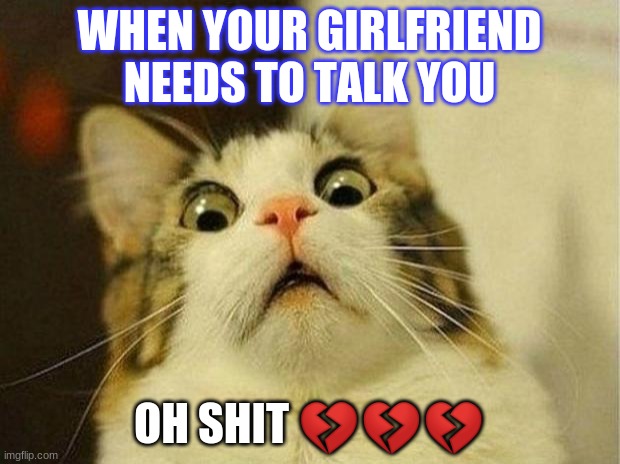 Scared Cat | WHEN YOUR GIRLFRIEND NEEDS TO TALK YOU; OH SHIT 💔💔💔 | image tagged in memes,scared cat | made w/ Imgflip meme maker