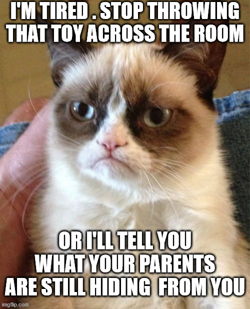 Grumpy Cat | I'M TIRED . STOP THROWING THAT TOY ACROSS THE ROOM; OR I'LL TELL YOU WHAT YOUR PARENTS ARE STILL HIDING  FROM YOU | image tagged in memes,grumpy cat | made w/ Imgflip meme maker