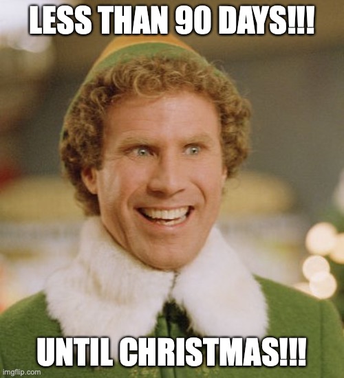 90 days | LESS THAN 90 DAYS!!! UNTIL CHRISTMAS!!! | image tagged in memes,buddy the elf | made w/ Imgflip meme maker