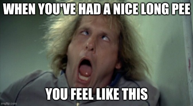 dumb and dumber | WHEN YOU'VE HAD A NICE LONG PEE; YOU FEEL LIKE THIS | image tagged in memes,scary harry | made w/ Imgflip meme maker