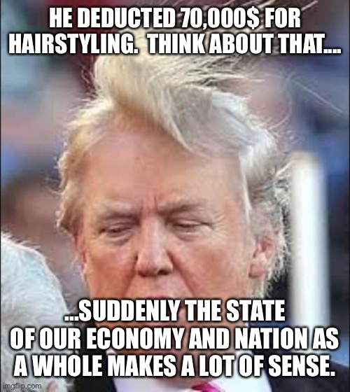 Trump Hair | HE DEDUCTED 70,000$ FOR HAIRSTYLING.  THINK ABOUT THAT.... ...SUDDENLY THE STATE OF OUR ECONOMY AND NATION AS A WHOLE MAKES A LOT OF SENSE. | image tagged in trump hair | made w/ Imgflip meme maker