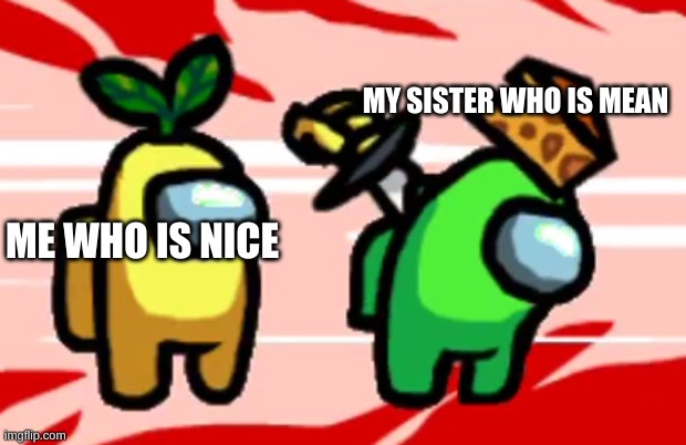 Among Us Stab | MY SISTER WHO IS MEAN; ME WHO IS NICE | image tagged in among us stab | made w/ Imgflip meme maker