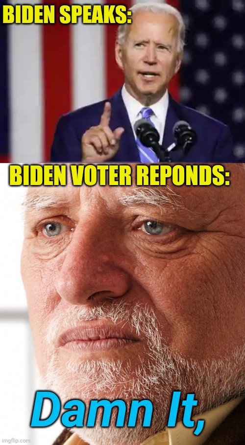 The elites chose him, now do what you're told... | BIDEN SPEAKS:; BIDEN VOTER REPONDS:; Damn It, | image tagged in dissapointment | made w/ Imgflip meme maker