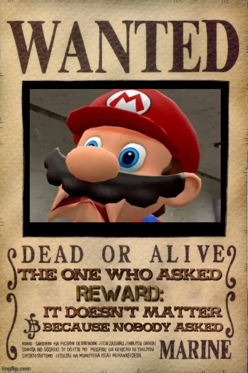 Mario WTF! | image tagged in wanted who asked seasoned | made w/ Imgflip meme maker