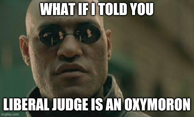 Matrix Morpheus Meme | WHAT IF I TOLD YOU LIBERAL JUDGE IS AN OXYMORON | image tagged in memes,matrix morpheus | made w/ Imgflip meme maker